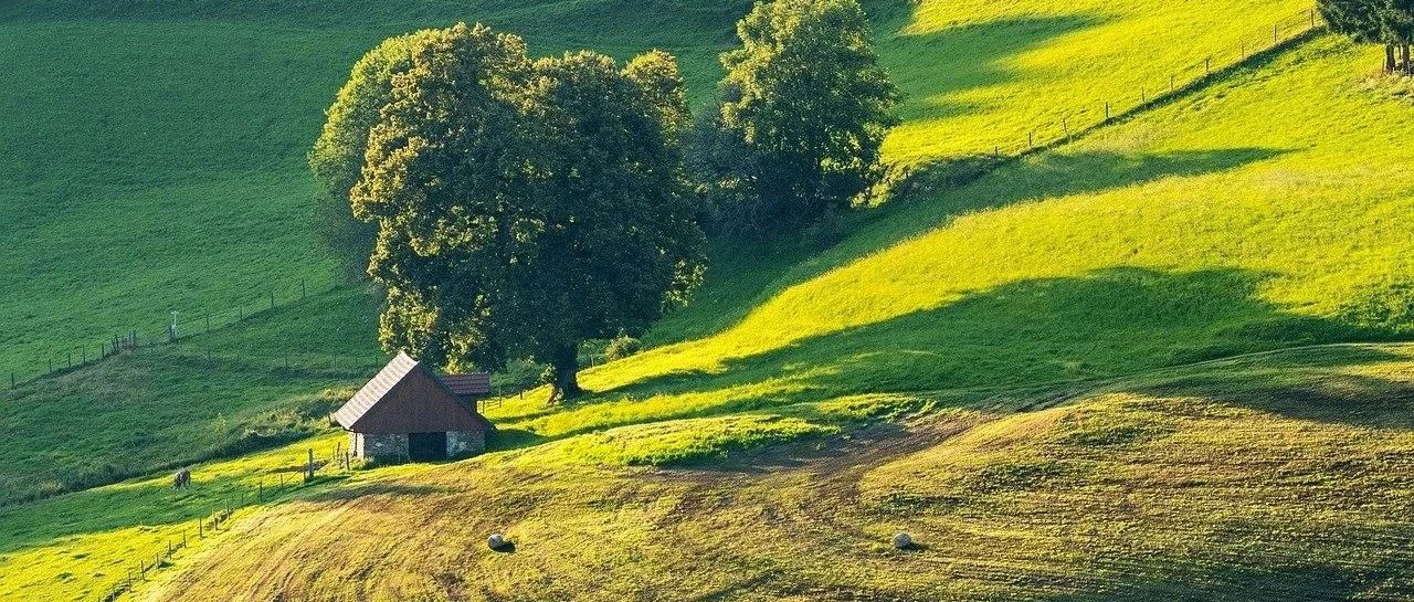 Tránh xa những người như dây leo